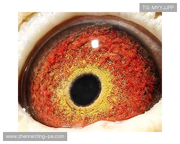 解决AG客户端会员注册过程中遇到的常见问题与技巧攻略