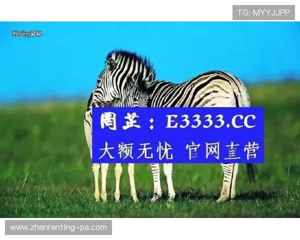 深入了解ag真人官方入口对玩家体验的独特影响