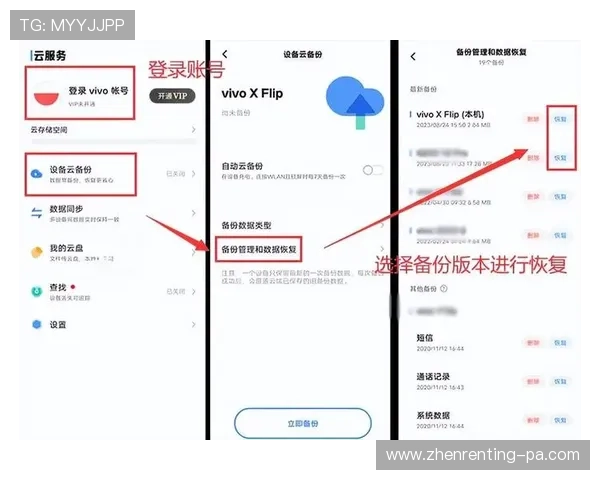 关于PA电子电脑版的详细安装与使用指南帮助玩家轻松上手