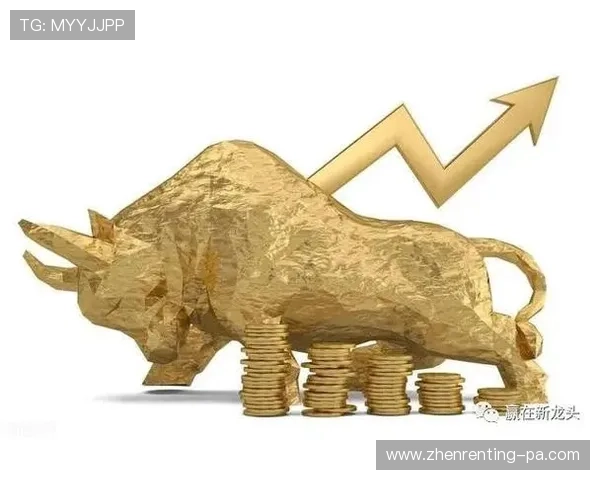 真人购彩下载操作指南，帮助新手快速上手轻松赢取大奖